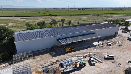 乌拉特前旗 以“四个一”工程绘就产业振兴新图景