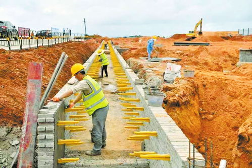 海口市谭仙农产品加工产业园一期项目进度已超40%，预计年底完工