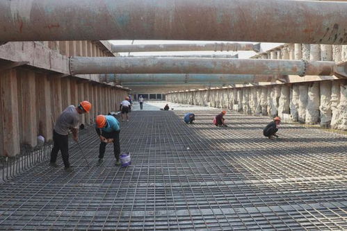 市政集团党总支 党建联建聚合力，携手共建精品民生工程