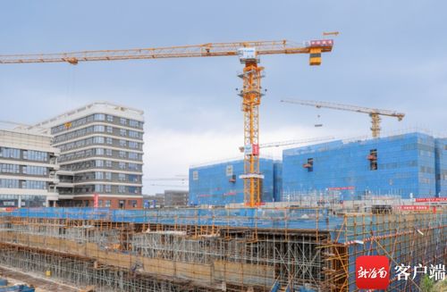 国家紧急医学救援基地海南建设项目取得新进展 全面启动建设工程施工阶段